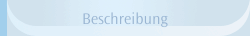 Beschreibung